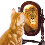 cat looking in mirror, sees a lion